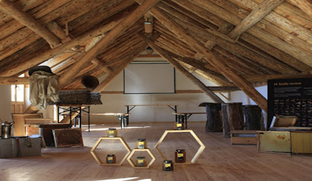 Cata de miel  A Redolada